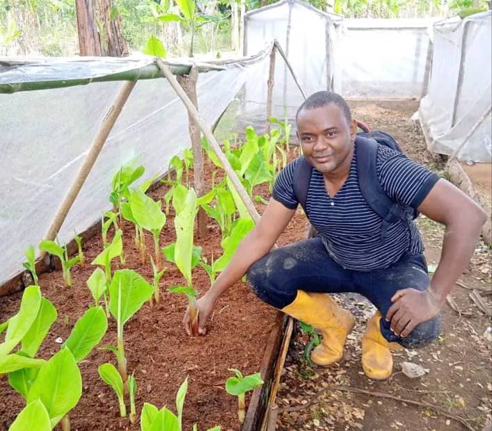 image Fayçal Bianrif utilise la méthode PIF pour produire plus de bananes