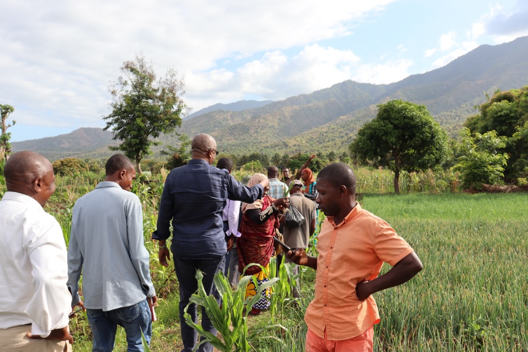 image Agriculture à Anjouan: Toucher du doigt les difficultés des acteurs