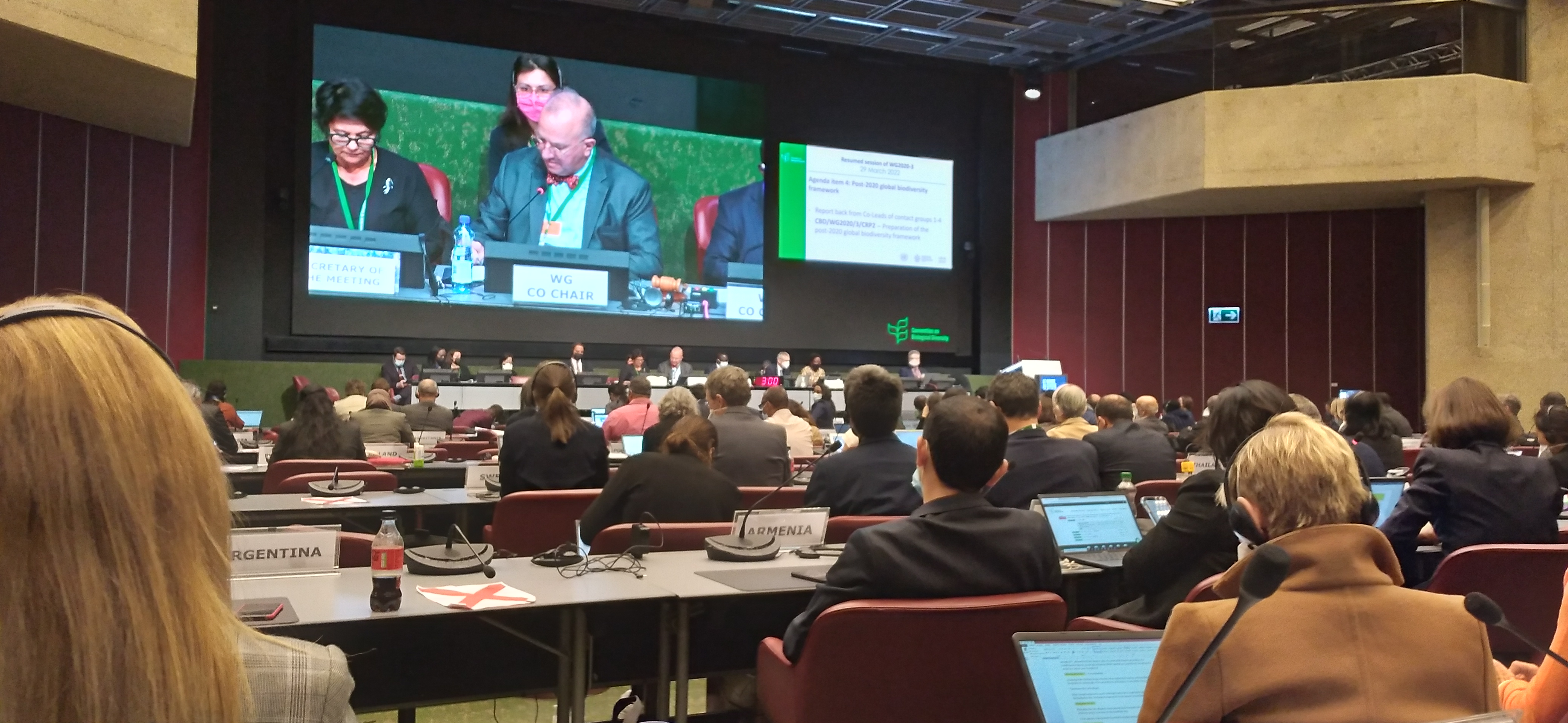 Clôture des réunions sur la Biodiversité à Genève Sur le chemin de Kunming