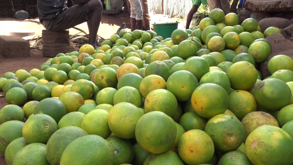 image La saison des oranges d'Itsamia bat son plein