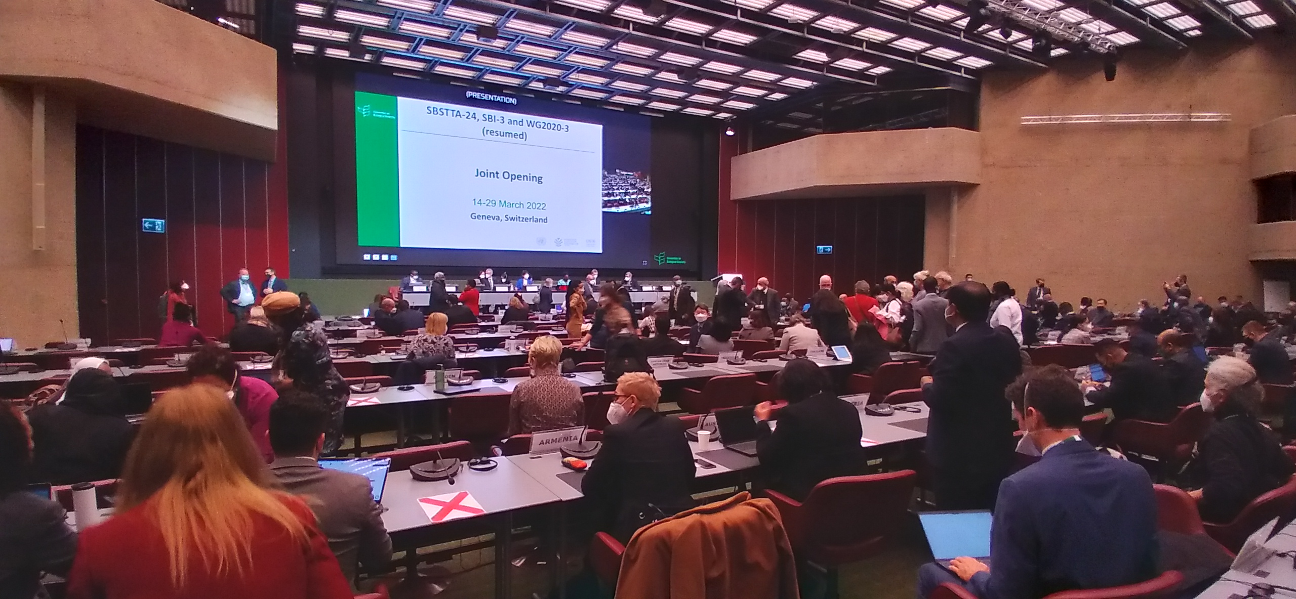 Vers l’élaboration du Cadre mondial de la biodiversité pour l'après-2020