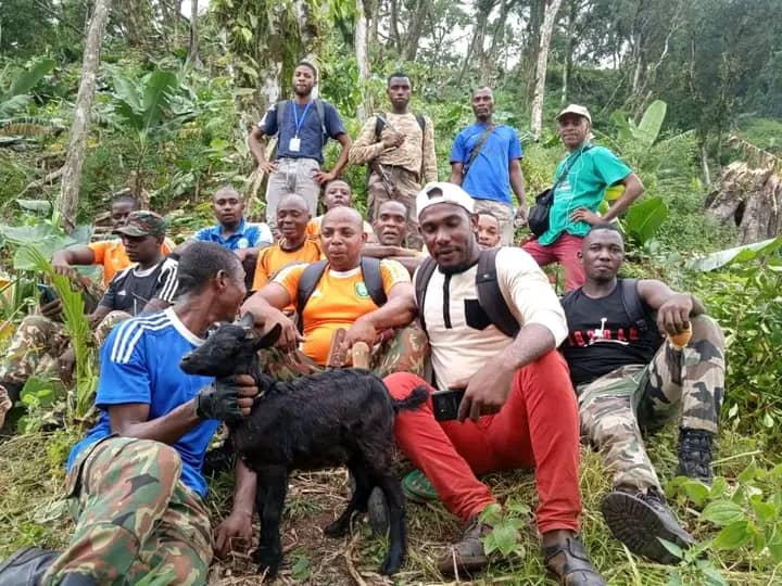 image Une stratégie de surveillance adaptée contre la déforestation est mise en place