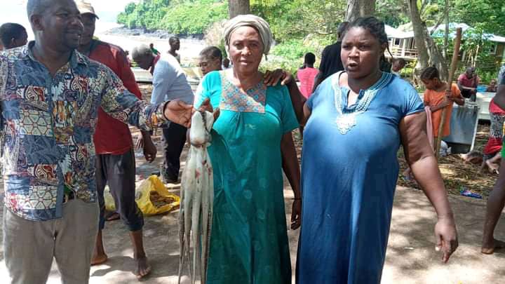 image 4 tonnes de poulpes ont été pêchées jeudi dernier à Ndrodroni et Ouallah 2