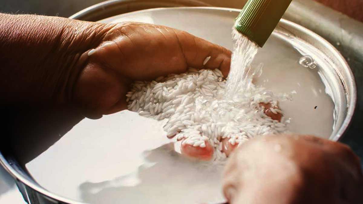 image Consommation courante : Anjouan ne « riz » pas