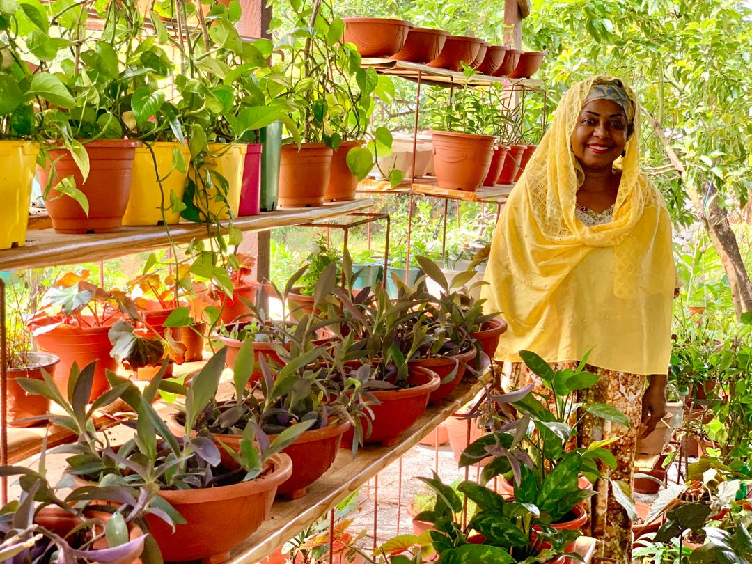 image A la découverte des plantes florales et médicinales avec le Jardin le Camélia