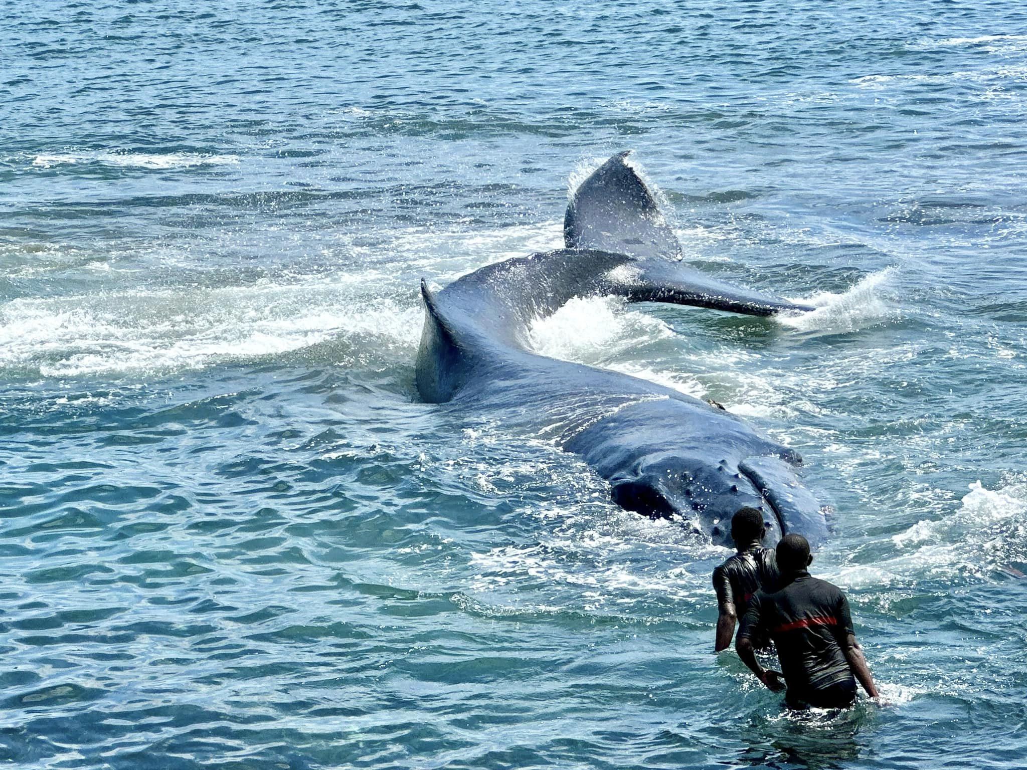 image Sauvetage en mer :  Le besoin de doter les sapeurs-pompiers d’équipements nautiques se fait ressentir