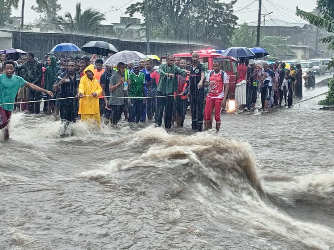 image Hambou et Bambao de nouveau sous les eaux