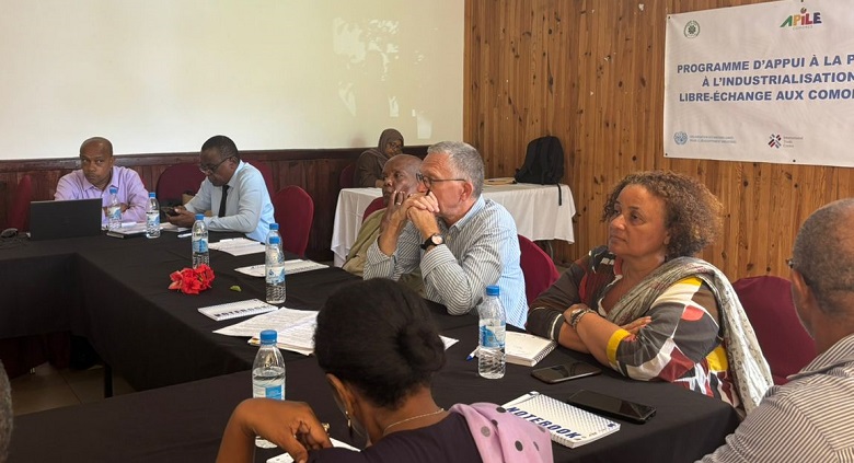 image 5e Réunion du comité technique d’APILE : Un bilan des progrès au service de l’industrialisation