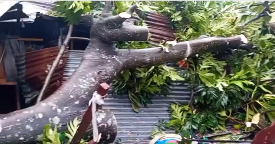 image Intempéries :  Le pays secoué par des fortes pluies