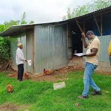 image Production avicole : Apile et PIDC à la rescousse des aviculteurs Comoriens