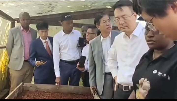image Agriculture:  Une délégation chinoise a visité le CRDE de Diboini