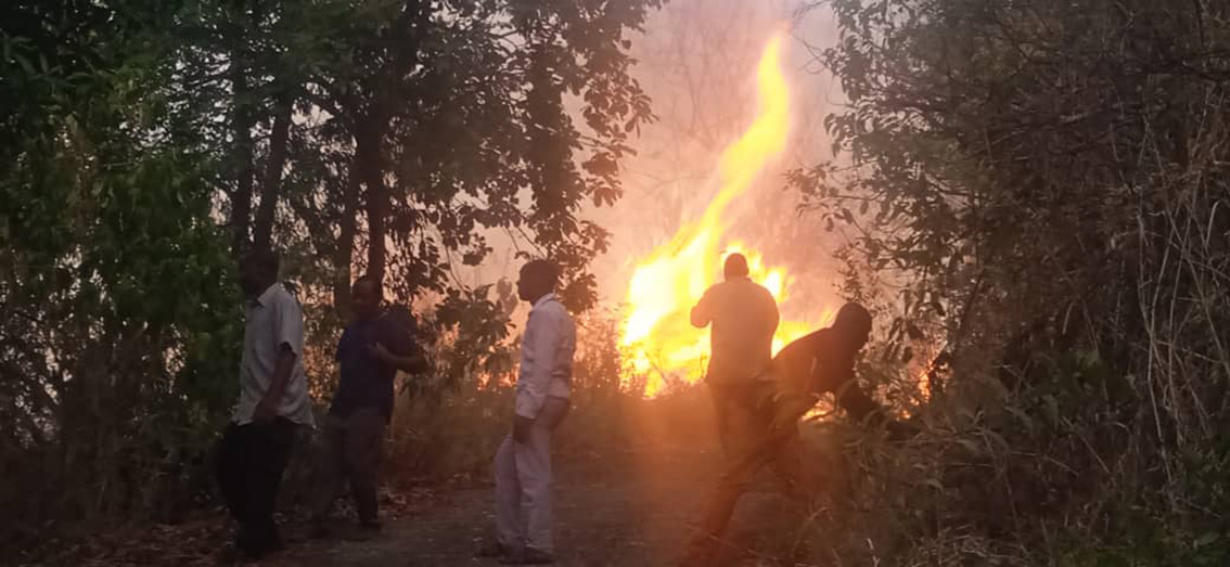 image Environnement :  Les incendies de brousse se multiplient à Mohéli