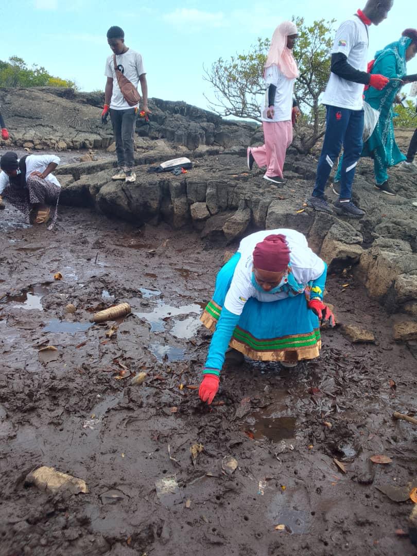 image Protection des mangroves :  Le site de Domoiboini nettoyé
