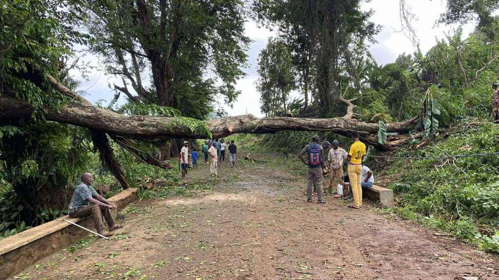 image Cyclone Chido : Plus de peur que de mal à Mohéli
