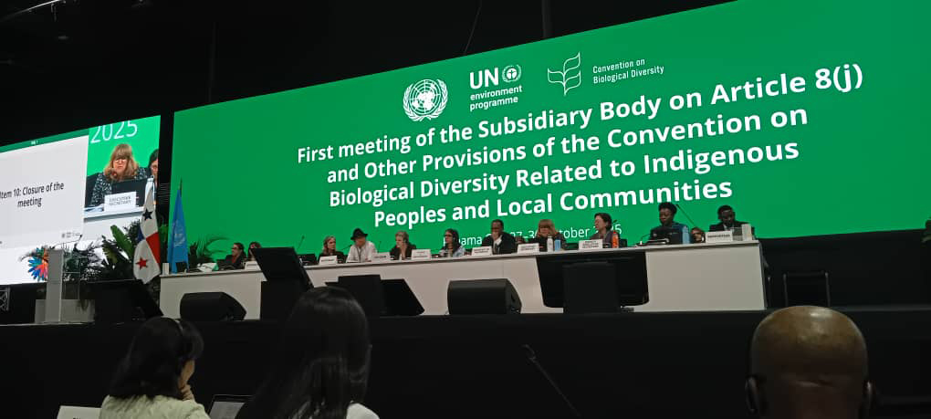 image Biodiversité mondiale: Valorisation du rôle des peuples autochtones et les communautés locales