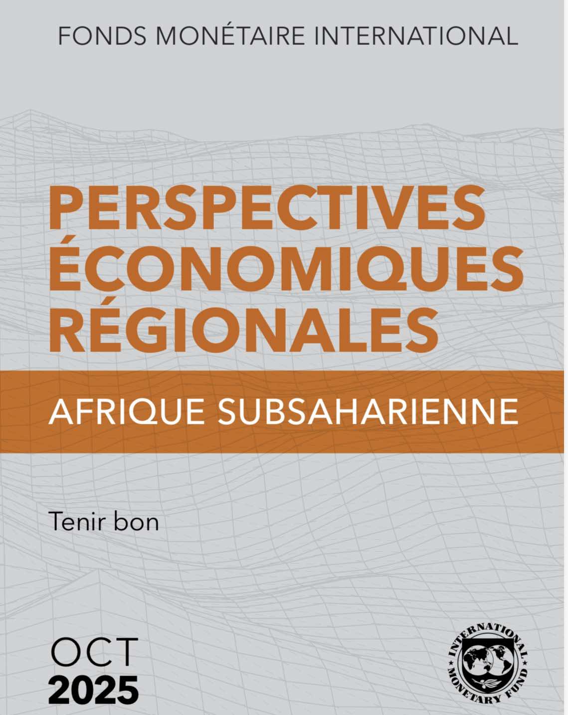 image Perspectives économiques en Afrique: Une économie résiliente, mais à surveiller de près