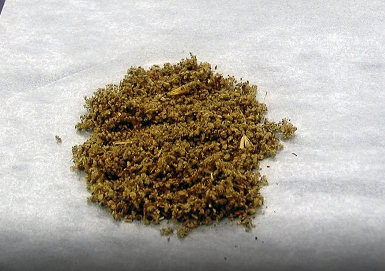 image Drogue :  Une jeunesse en quête de repères