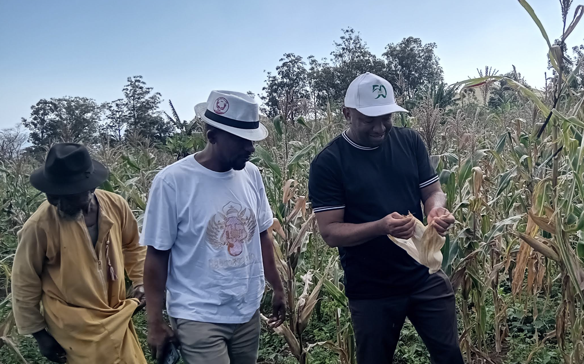 Agriculture:  Vers des semences à cycle court