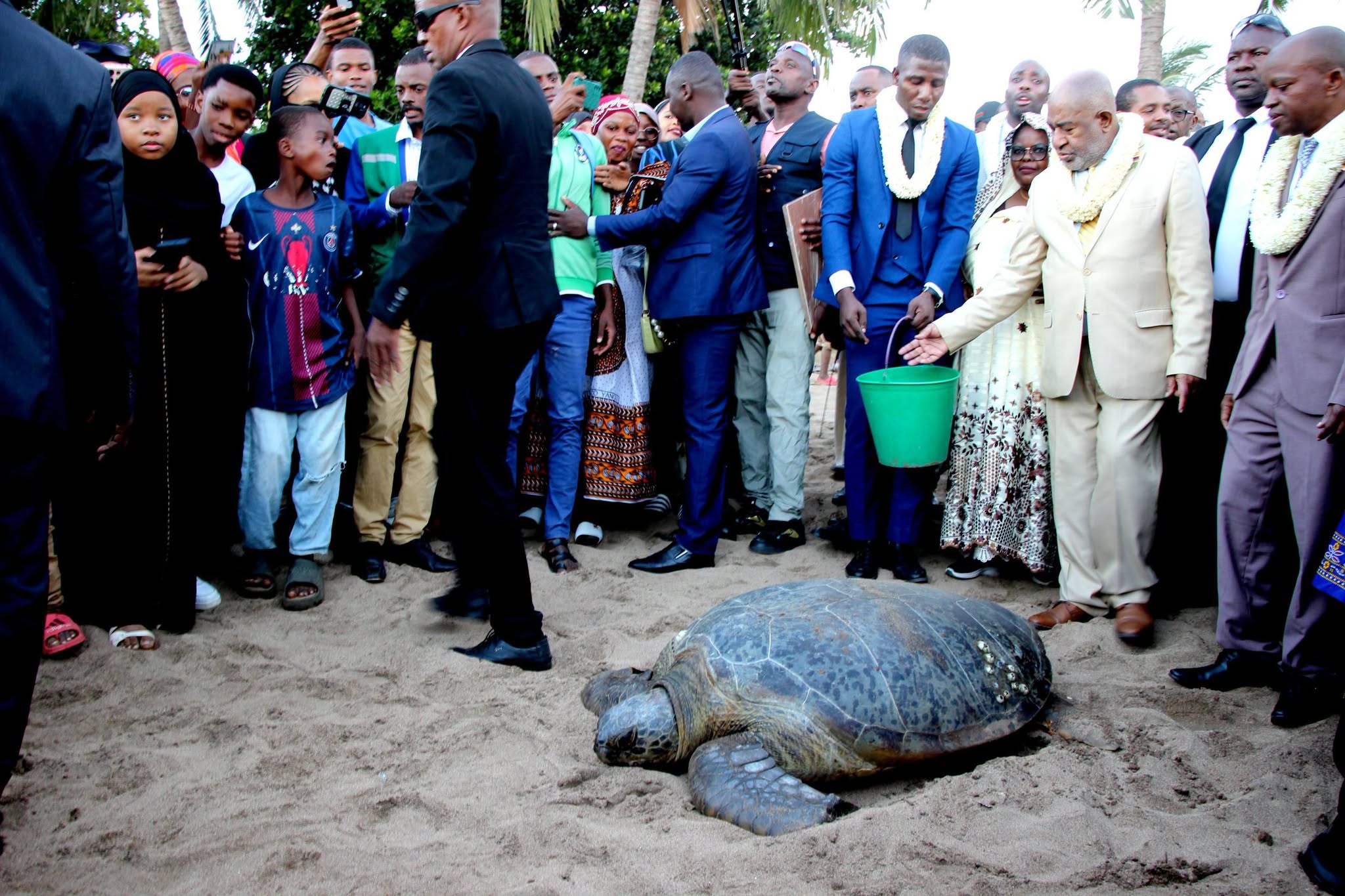 image 28ᵉ édition de la journée de la tortue marine: Itsamia confirme son statut de capitale de la conservation marine