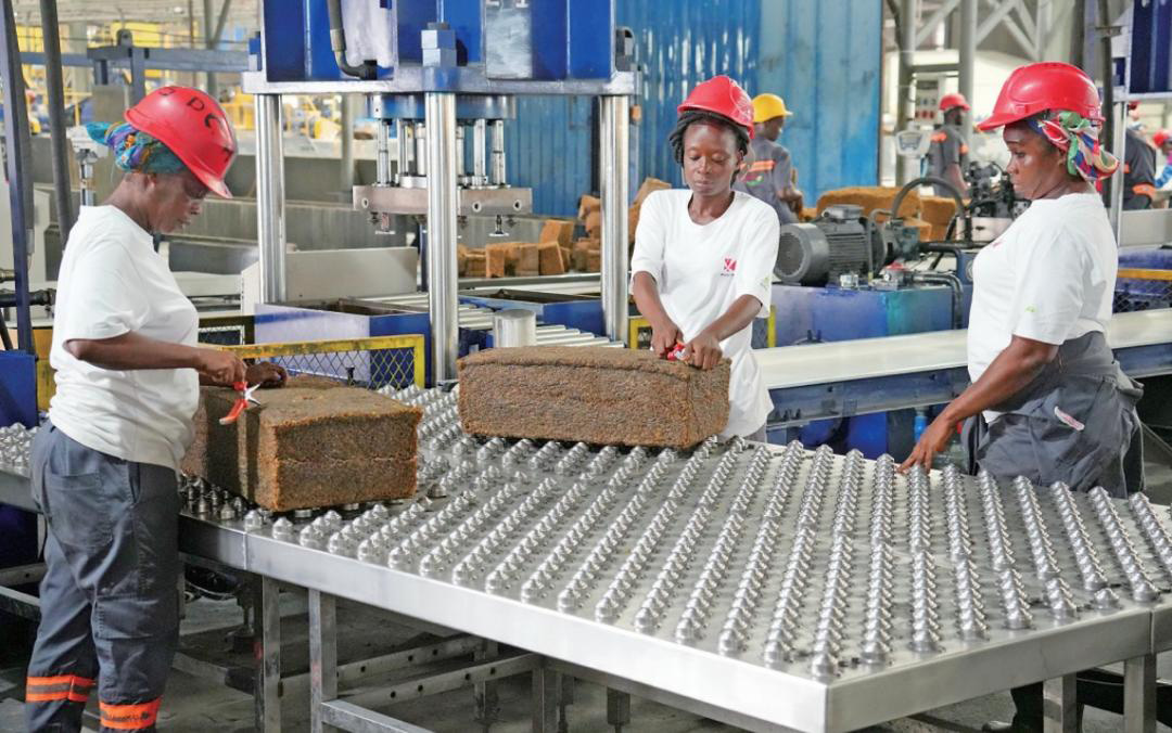 Droits de douane nuls :  Le marché chinois s’ouvre en grand à l’Afrique