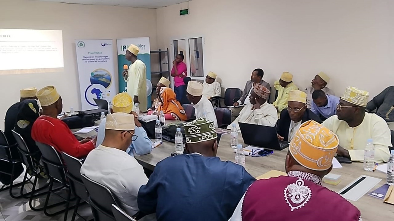 Le projet RESEA accélère la reconquête des écosystèmes marins