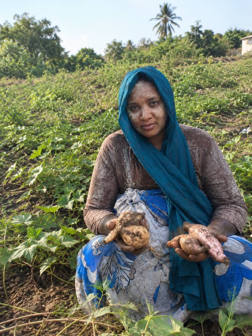 Entreprenariat :  Hafifa transforme la patate douce en source de revenus
