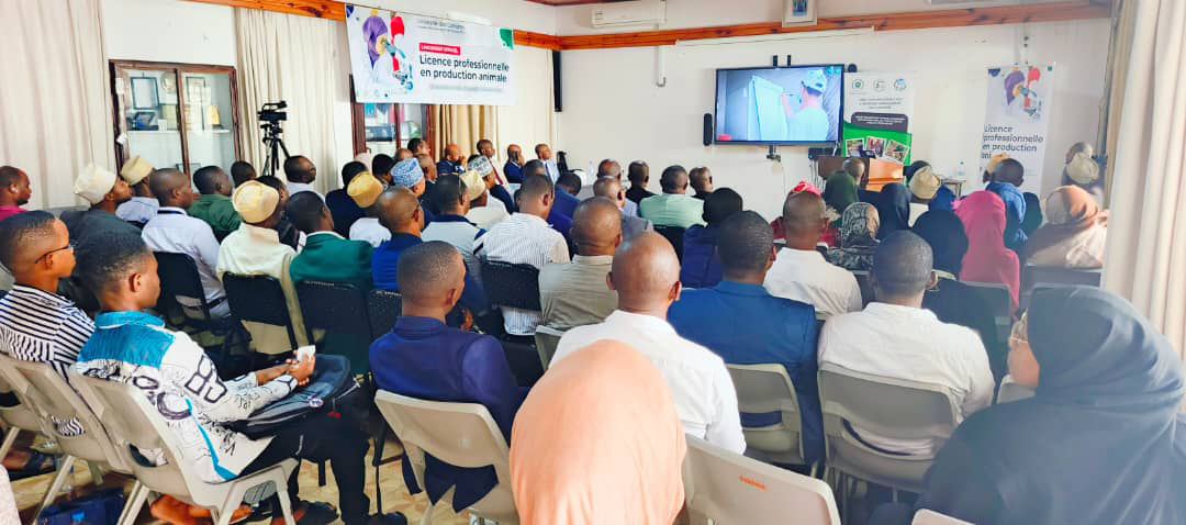 Enseignement supérieur : Une licence professionnelle pour soutenir la modernisation de l’élevage