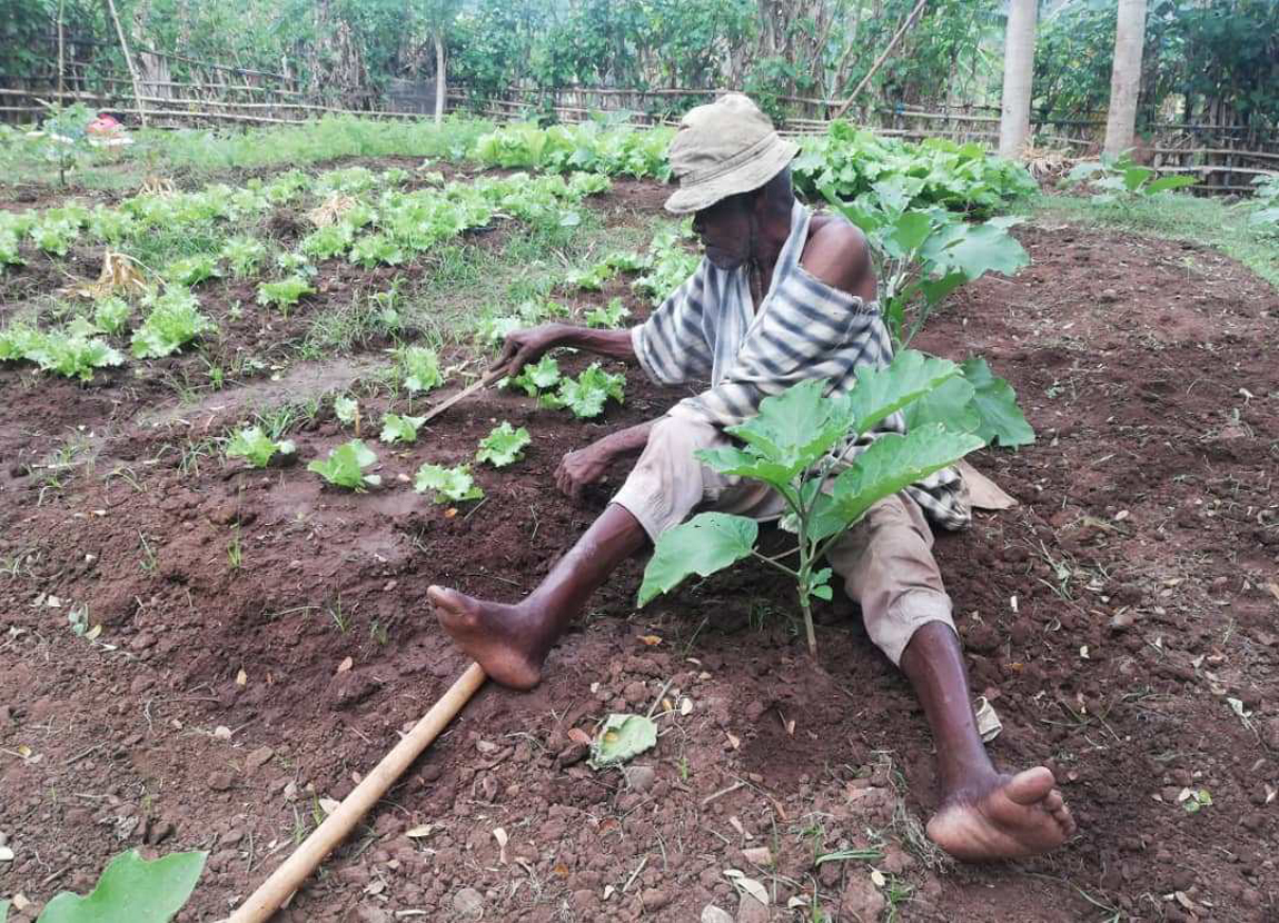 image À 75 ans Moussa Said continue ses activités dans le maraîchage