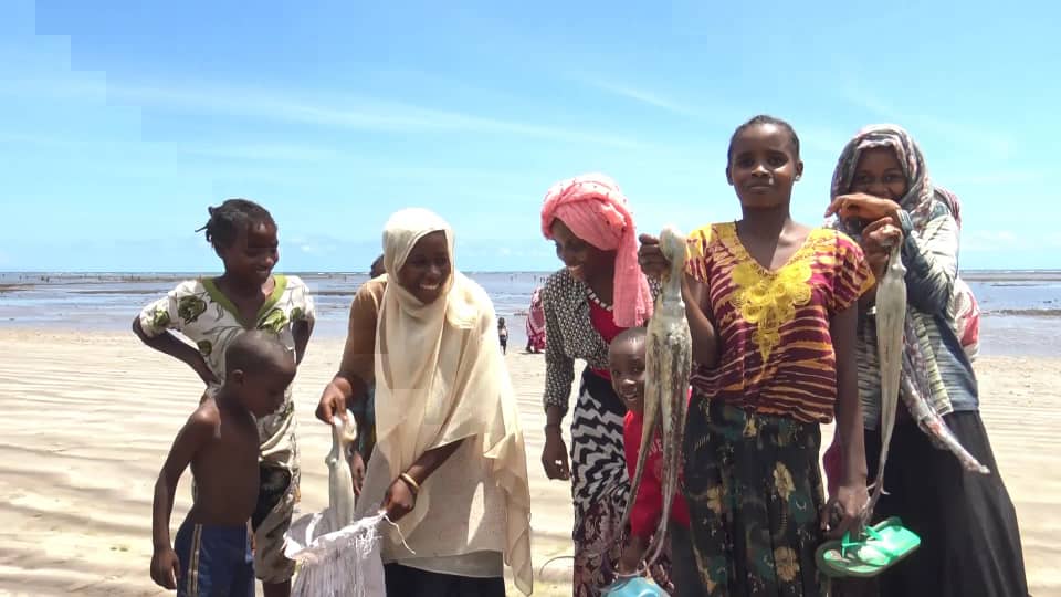 image La pêche aux poulpes est rouverte à Ntakoudja