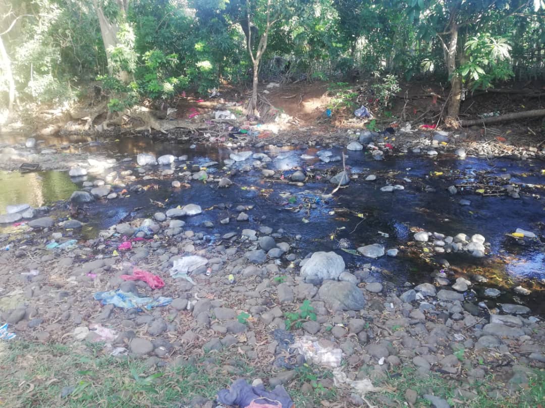 image La rivière Gnombeni, devenu un dépotoir d’ordures