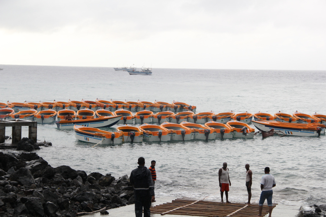 image Emploi : Pourquoi la société nationale de pêche est toujours en veilleuse ?