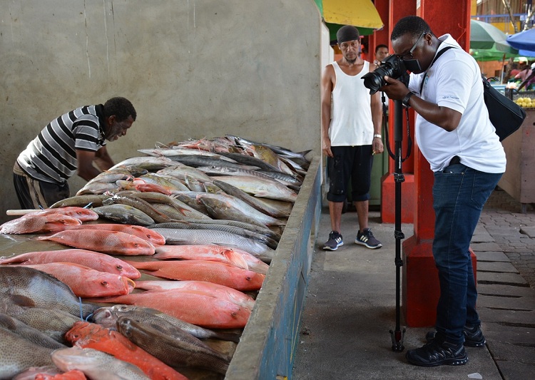image Pêcherie et aquaculture dans le Sud-Ouest de l’océan Indien  Pour un partage des bonnes pratiques