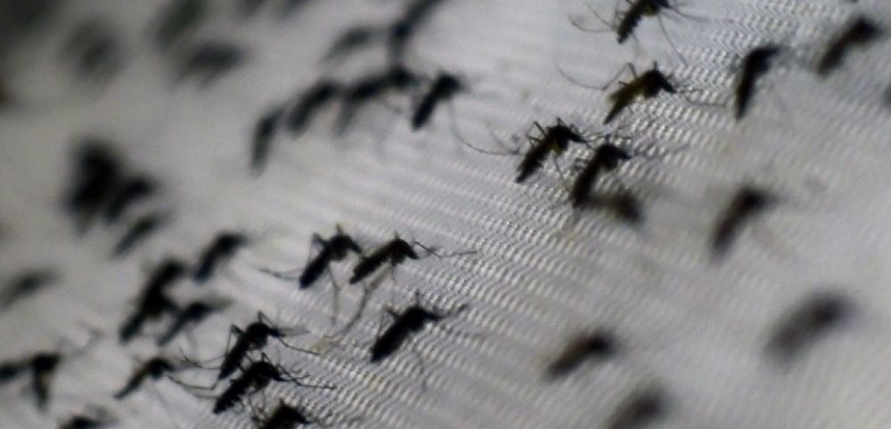 Éradication du paludisme / La méfiance de la population freine les initiatives